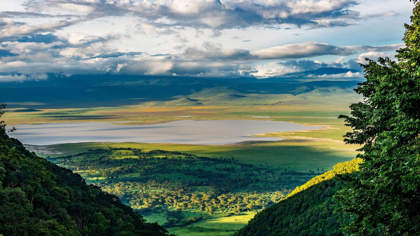 Ngorongoro Crater