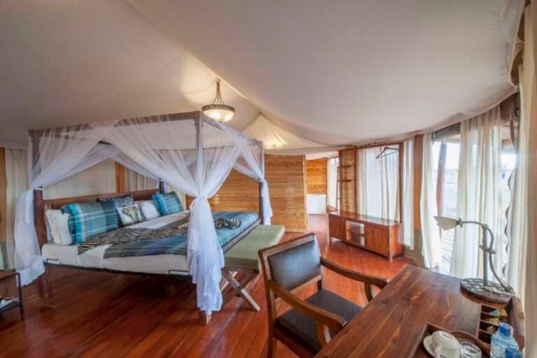 acacia-camp-6