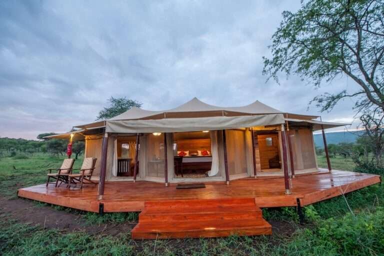 acacia-central-camp