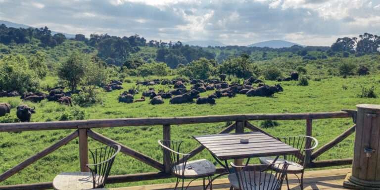 balcony-rhino-lodge-the-ngorongoro-crater-tanzania