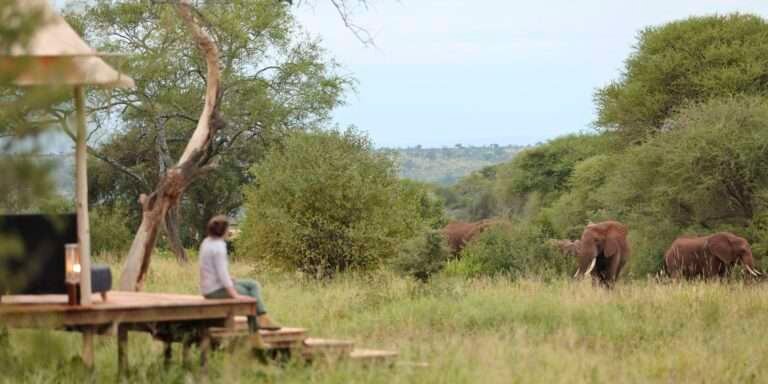 nasikia-ndovu-tented-camp-elephants-tanzania-yellow-zebra-safaris