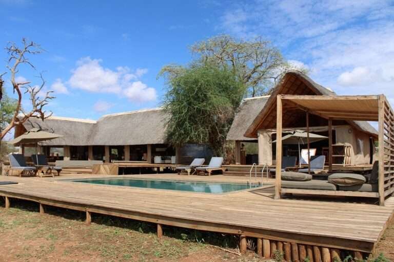 ndovu