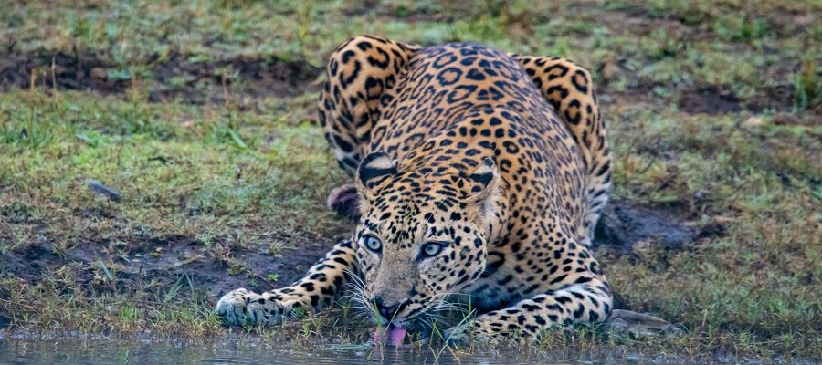 9-days-tanzania-safari4