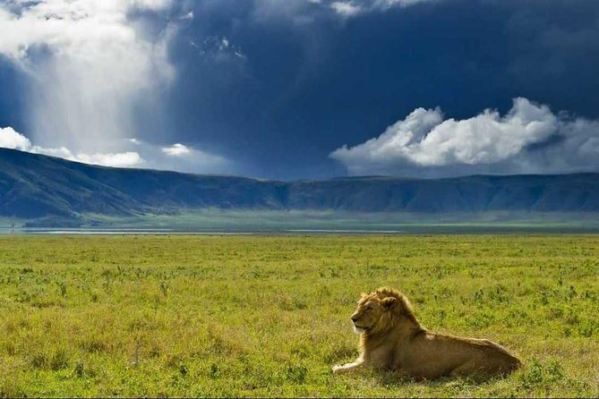 Day 2 Ngorongoro Crater