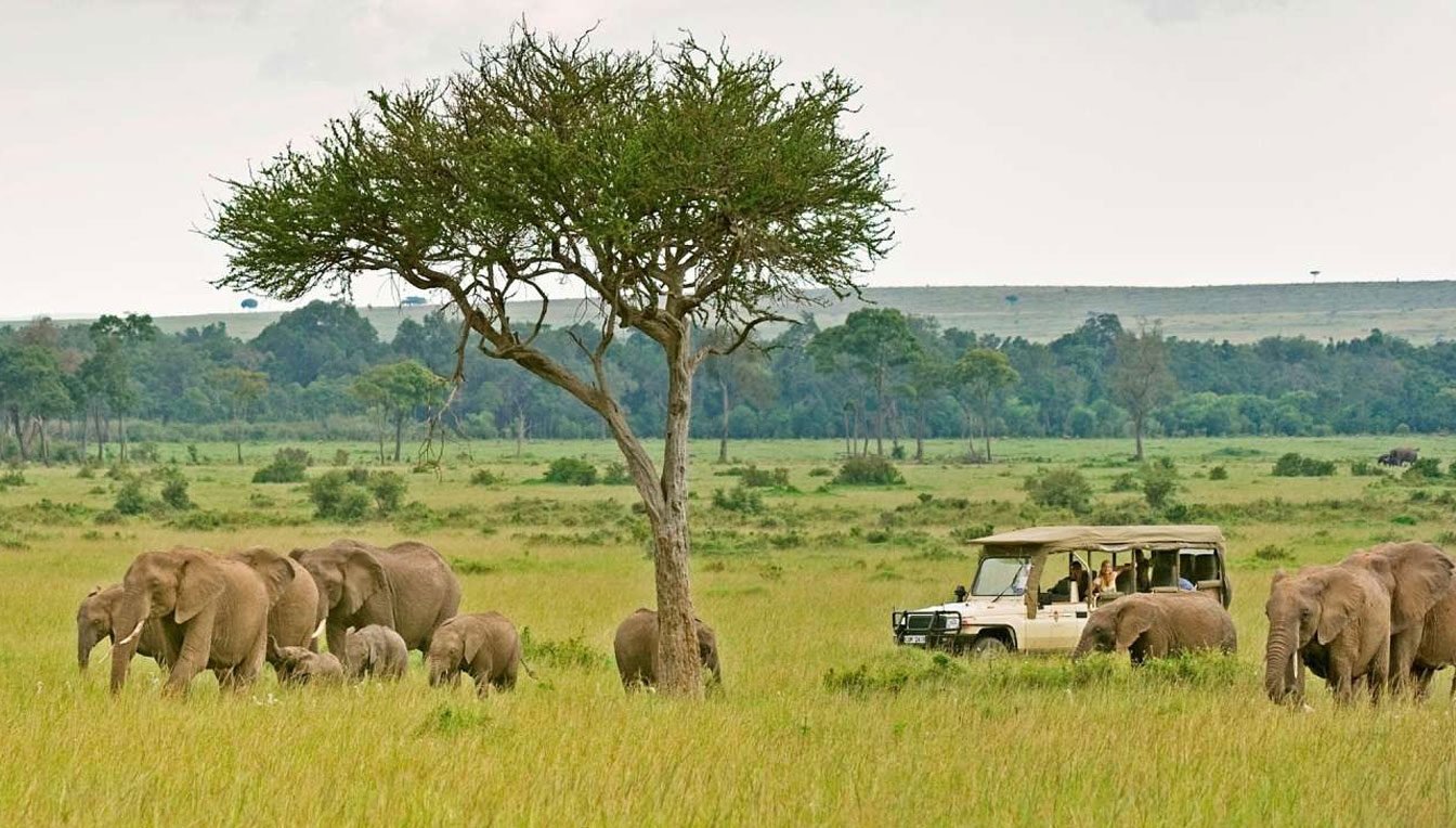 Day 3 Ngorongoro Highland to Serengeti National Park