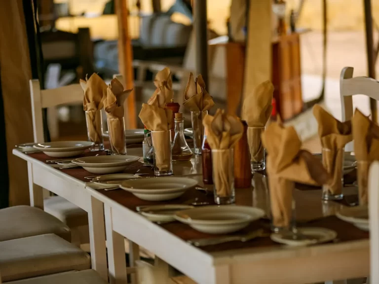 Intimate Camp Seronera 0