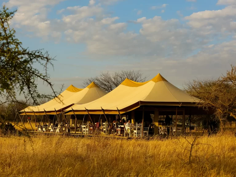 Intimate Camp Seronera 1
