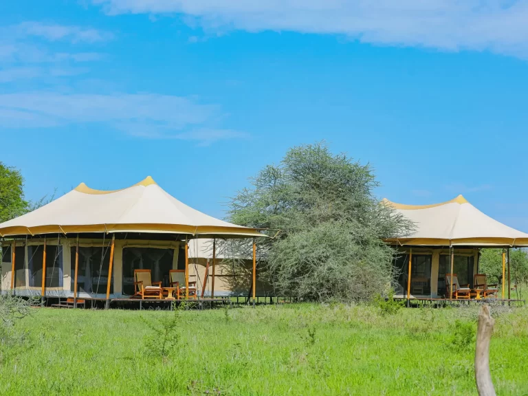 Intimate Camp Seronera 2