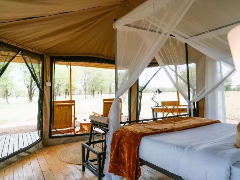 Intimate Camp Seronera 6