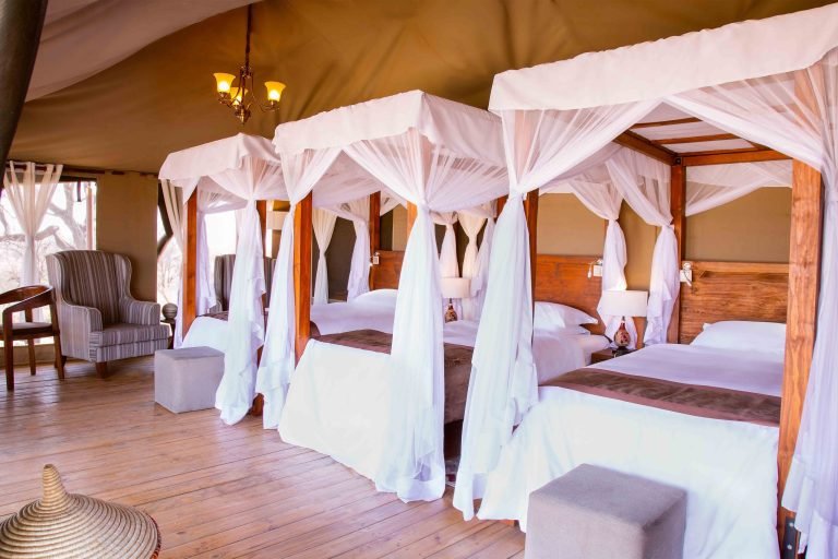 Kenzan-Migration-Camp-3