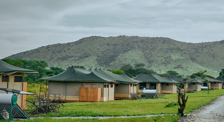 Land of Nature Camp 7