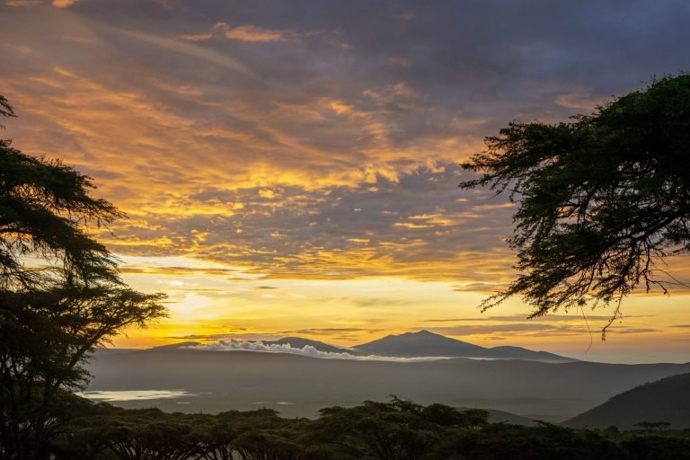 Ngorongoro Lion's Paw Camp 7