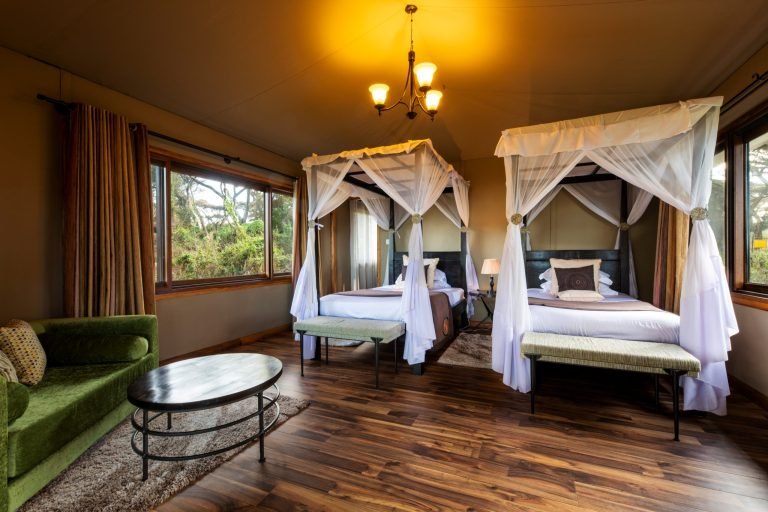 Ngorongoro Lion's Paw Camp