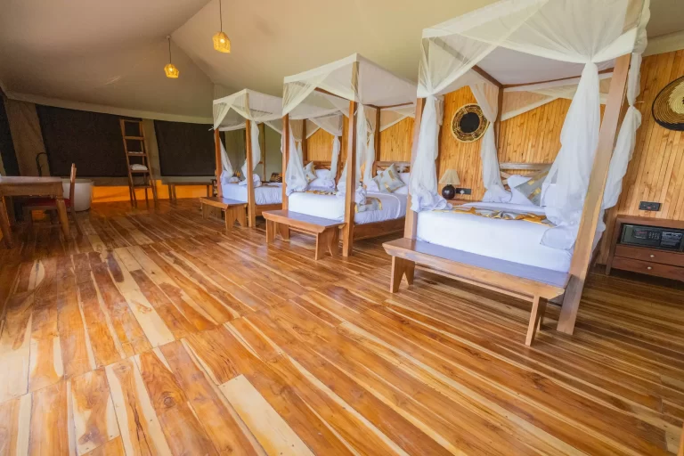 Safari Haven Serengeti Camp 1