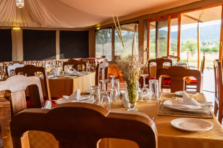 Safari Haven Serengeti Camp 5