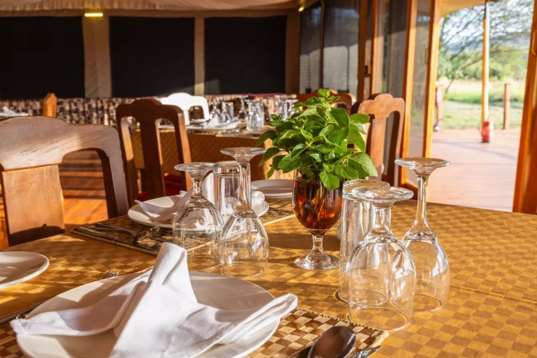 Safari Haven Serengeti Camp 6