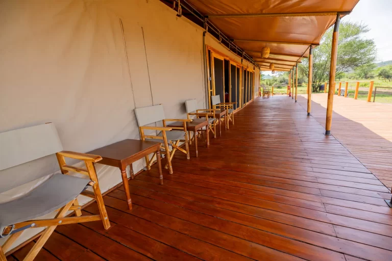 Safari Haven Serengeti Camp 9